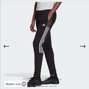 Adidas Trio 21 Sweat Pants
